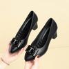 Damskie buty pojedyncze Wiosna Jesień Gruby obcas Skórzane buty Wszechstronne do pracy Buty damskie bez męczenia stóp Buty na wysokim obcasie