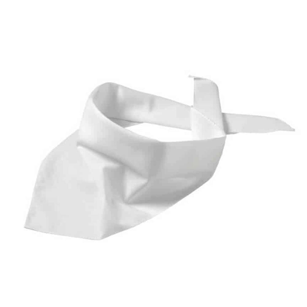 Myrtle Beach Triangular Scarf