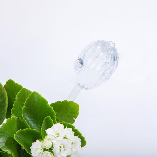 Cactus Watering Globes Plant Self Watering Bulbs Transparent Automatic Watering Globes for Indoor Outdoor Plants Home Gardening