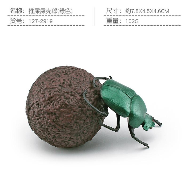 Vibrant Pvc Dung Beetle And Beetle Models Set Of 8 Realistic Insect Figurines For Home Decor
