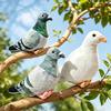 Lifelike Bird Plush Toy Simulation White Green Pigeon Lovely Magpie Stuffed Animal Doll Pography Prop Festival Gift Christmas