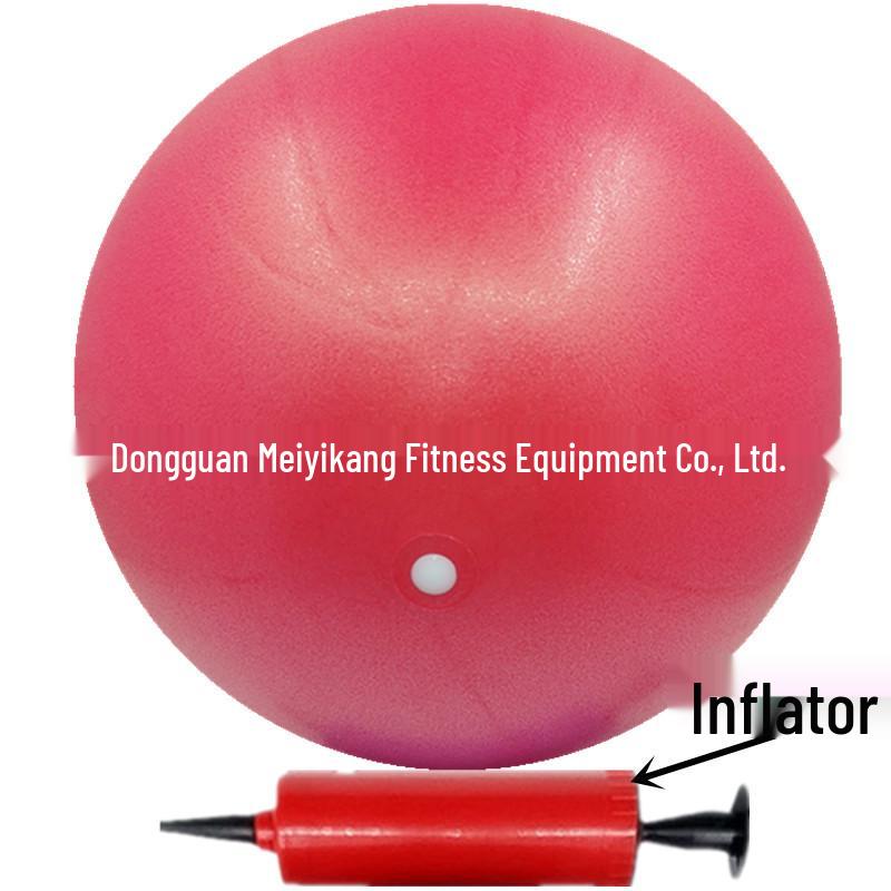 

Adult Pelvic Floor Training & Postpartum Recovery Octopus Yoga Ball
