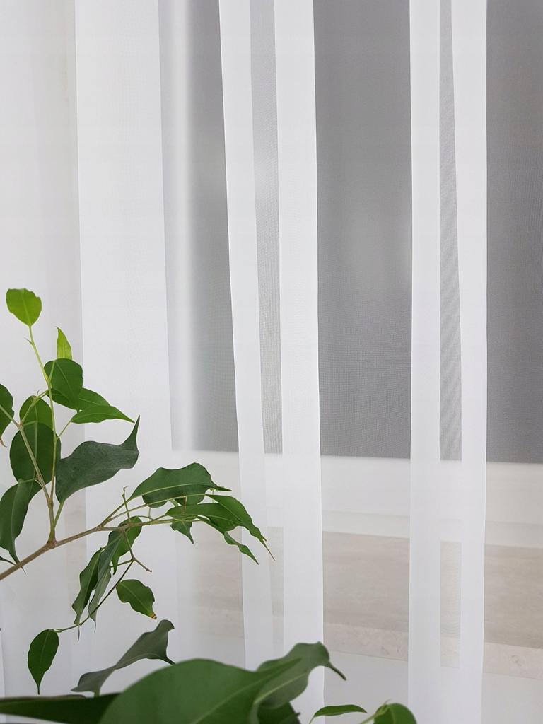 Voile curtain 250cm