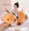 Capybara Hugging Pillow Plush Toy - Cute & Comfy Sleep Doll for Girls