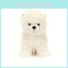 Jc Jelly Pomeranian Cute Animal Plush Toys For Kids Playroom Decor Gift And