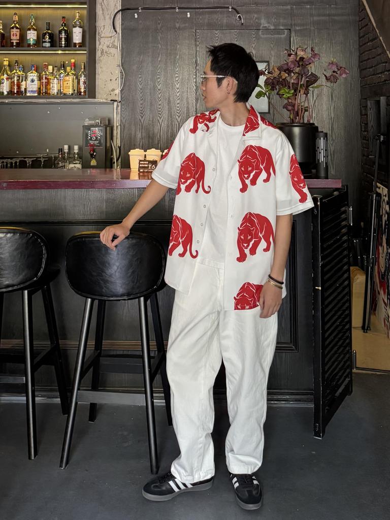 CHANGE WELL 2025 Streetwear Casual Short Sleeve Open Collar Leopard Animal Print Aloha Shirt Men's Spring/Summer (White, XL)