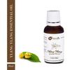 Ylang Ylang Essential Oil by Naturalis 100% Pure & Natural - 30ml