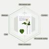 huecalm Heartleaf PH Balancing Mask (1ea)