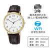 Citizen Brown Analog Waterproof Wristwatch with Leather Strap Q&Q Men's Q996-104