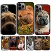 Shar Pei Dog English Springer Spaniel Mum Phone Case Cover For iPhone 17 Air 15 16 Pro Max 14 13 12 11 Pro Max Plus