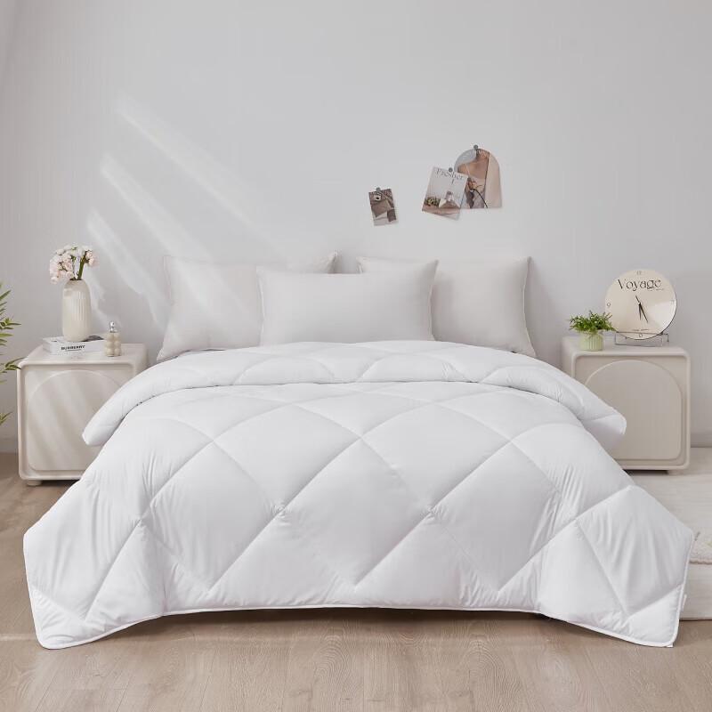 

Mengjie Brushed Warm Fiber Quilt