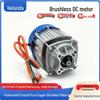 Motor șenilat amestecător nămol fără perii cu angrenaj, 48V/60V, 550W-1000W.
