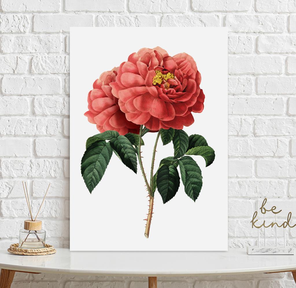 Poster Red Rose Vintage