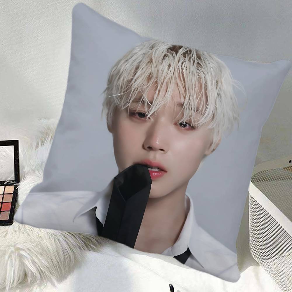 Jihoon Park Pillow Case Square Pillow Bedroom Sofa Leisure Comfort Cushion Car Home Decoration