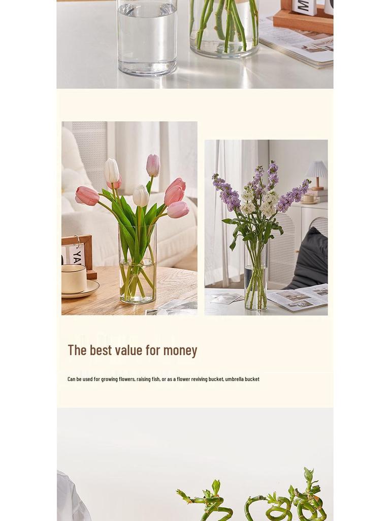 Stor Transparent Anti-Fall Vas för Lyckobambu - Vattenkultur Akryl Imitation Glasbehållare
