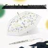 Tianwei Apollo Transparent Umbrella