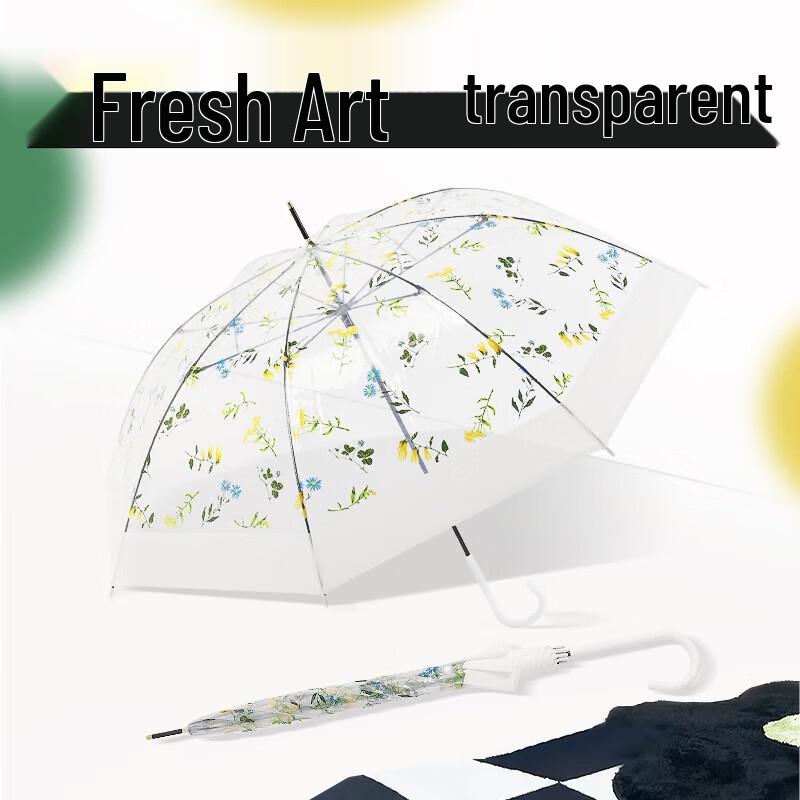 Tianwei Apollo Transparent Umbrella