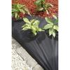 Mulching Sheet - Black 50 G/m² - 1x10 M