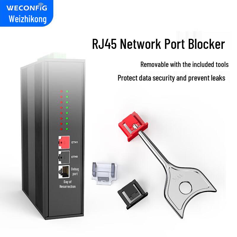 Weizhikong Detachable Network Port Lock & Dust Plug