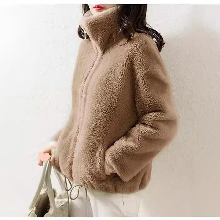 Autumn and Winter Stand-up Collar Fleece Thickened Warm Jacket Casual Zipper Cardigan Coral Fleece Sweater Women's Tide