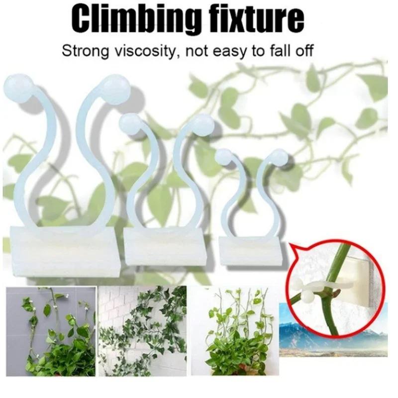 10Pc/set Plastic Invisible Wall Vines Fixture Wall Sticky Hook Self Adhesive Vines Fixing Clip Vines Holder Garden Home Supports