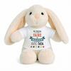 Planetee Plush Bunny Baby Comforter My Marathon Mission With Auntie Newborn Gift Girl Boy Baby Shower
