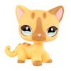 LPS Mini Pet Shop Pet Bobble Head Toy Rare Yellow Short Hair Cat Collectible Gift for Child Cute Animal Toys