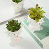 Cute Animal Flower Pot Succulent Pot Ceramics Planter Home Decor Desktop Ornaments Garden Decoration Bonsai Plant Pot