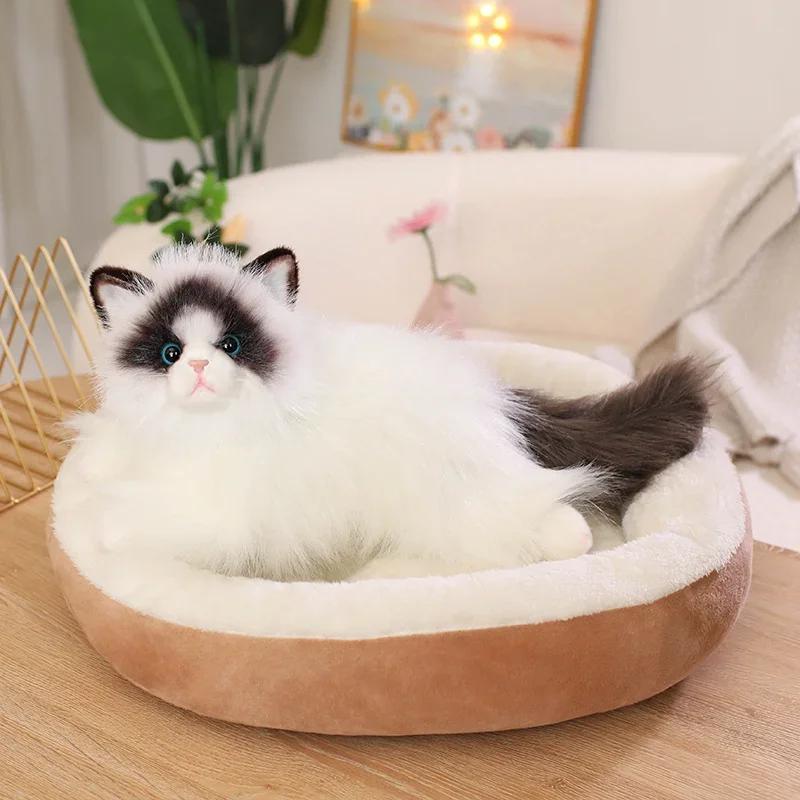 Kawaii Simulation Ragdoll Cat Plush Toy Soft Stuffed Kitten Cute Animals Home Decor Accompany Sleep Toy for Kids Birthday Gifts