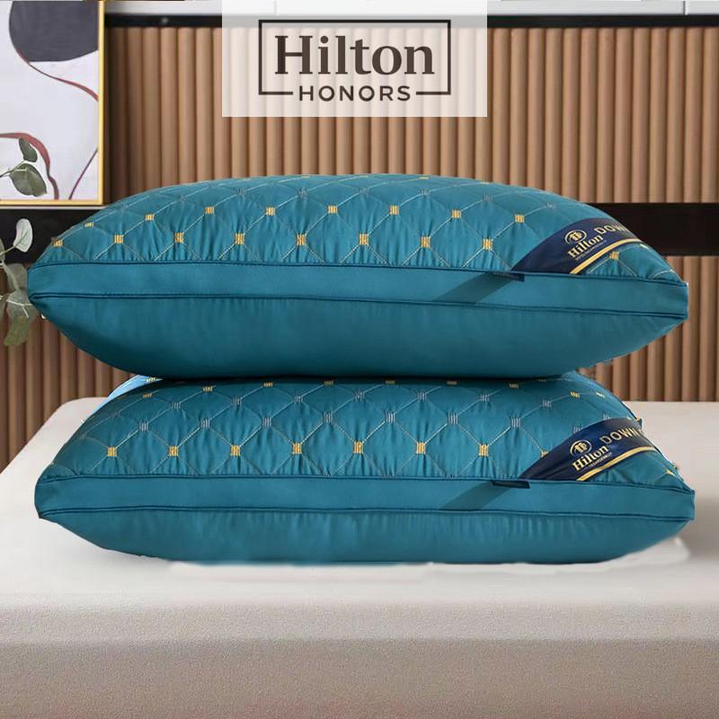 Premium Hotel-Style Memory Foam Pillow With 3D Star Embroidery Single Bed High Resilience Feather-Like Fill White Gray