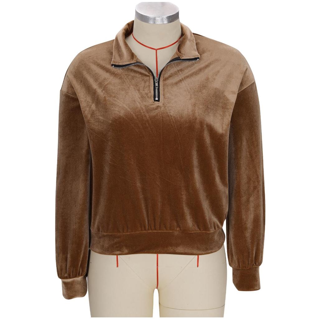 Damen Einfarbig Kapuzenpullover Locker Langärmlig Reißverschlusstasche Gold Samt Oberteil Sweatshirt