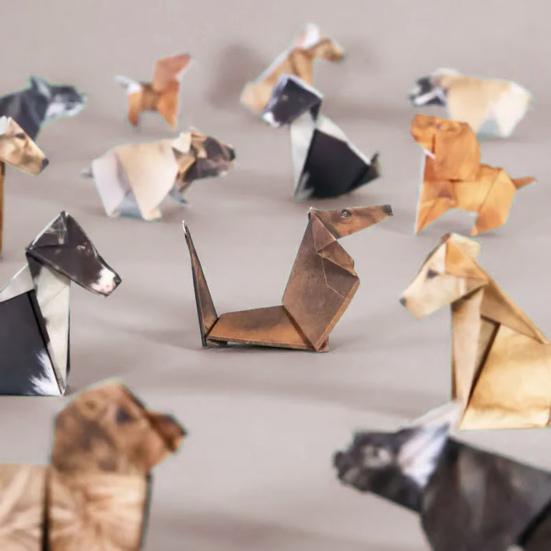DIY Paper Animals Origami Paper To Fold Cute Cat Dog Dinosaur Figures Fun Origami Craft Set for Adults Kids Gift Desk Decoration