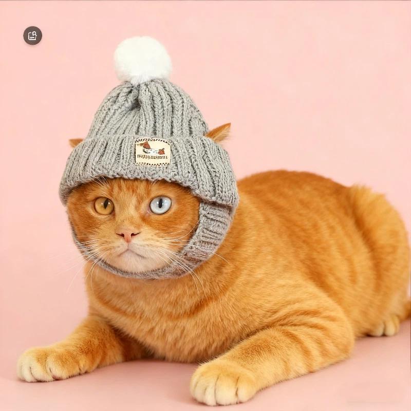 Kış Örgü Evcil Hayvan Köpek Şapkası Kulak Açık Rüzgar Geçirmez Kedi Kafa Bandı Moda Kürk Pomponlu Başlık Sonbahar ve Kış Evcil Hayvan Kostümü İçin