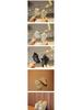 Infant Soft-Soled Plush Cotton Walking Shoes - Winter Snow Boots for Toddlers