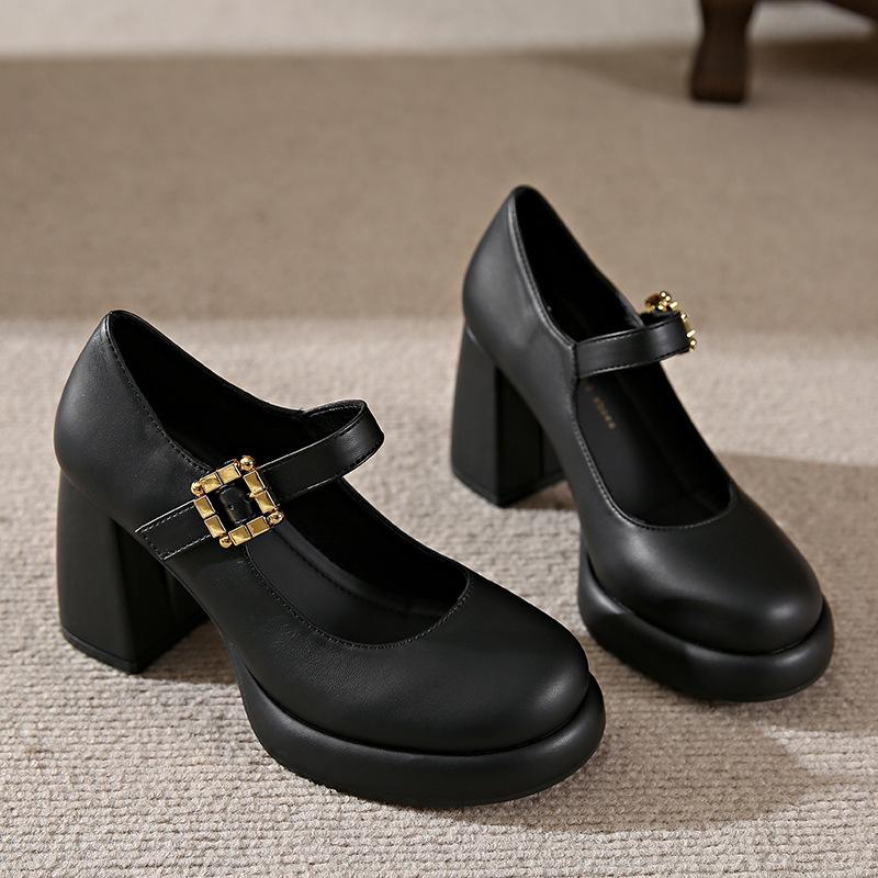 8CM Mary Jane shoes high heels fairy temperament fairy style 2025 new spring commuting thick heel French evening style single shoes