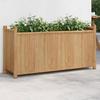 VidaXL Planter 100x30x50 Cm Bamboo, Raised Bed, Flower Pot, Flower Pot, Flower Box, Garden Pot, Stand of 366463