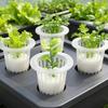 Hydroponic Vegetable Seedling Planting Basket Round Plant Growing Net Nursery Pots Garden Plants Soilless Plastic Basket Holder