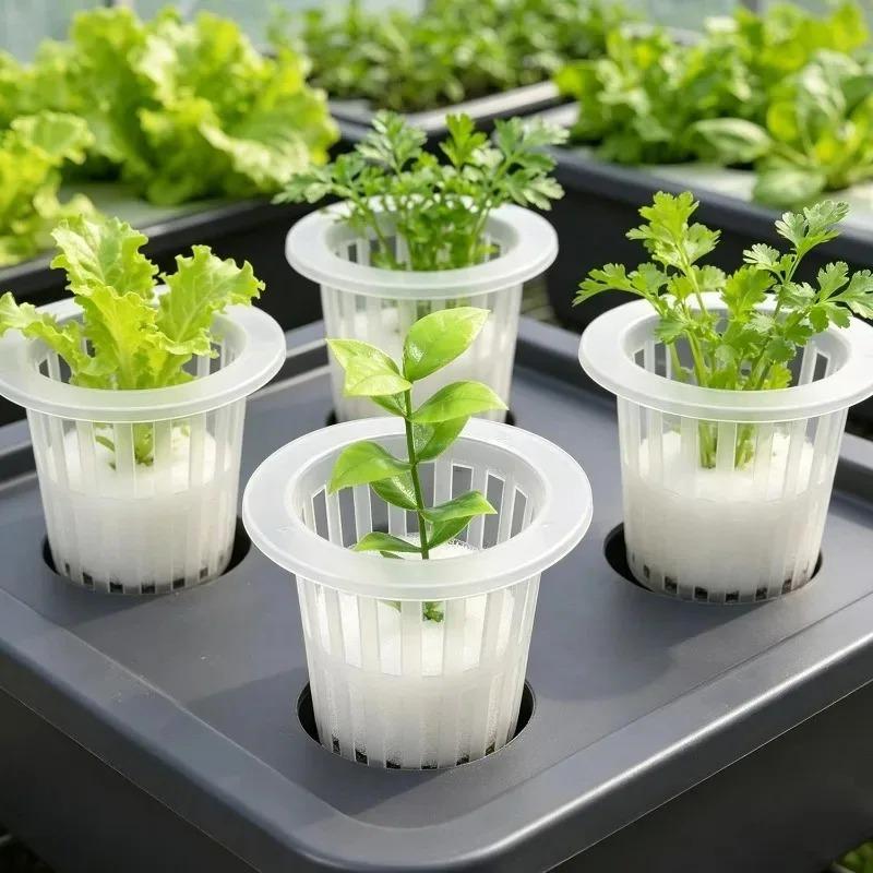 Hydroponic Vegetable Seedling Planting Basket Round Plant Growing Net Nursery Pots Garden Plants Soilless Plastic Basket Holder