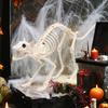 Halloweenská dekorace kočky kostry Hororová plastová kostra koťátka Kostní dekorace s pohyblivou čelistí Krk Ocas pro Halloweenskou párty Domácí dvorní dekorace