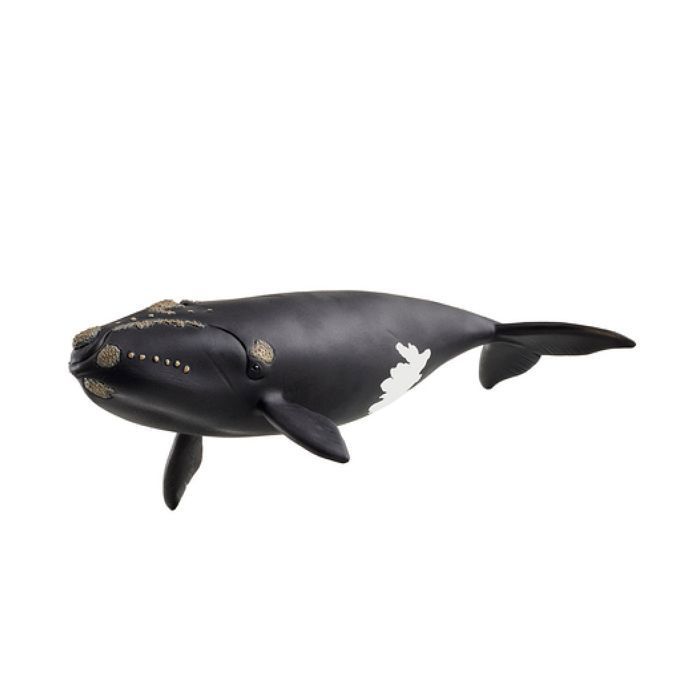 14878 baleine de l'atlantique - SCHLEICH - FIGURINES/Les animaux - Beige - Plastique - Des 3 ans