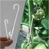 J Shaped Fruit Cherry Tomato Ear Hook Vegetable Plant Support Vines Fastener Clips Trellis Fixed Buckle Hook Garden Accesorries