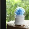 Led night decor light Bedroom kids sleeping lamp for Office gift bulb rechargeable with flower Humidifier lamp with Diffuser