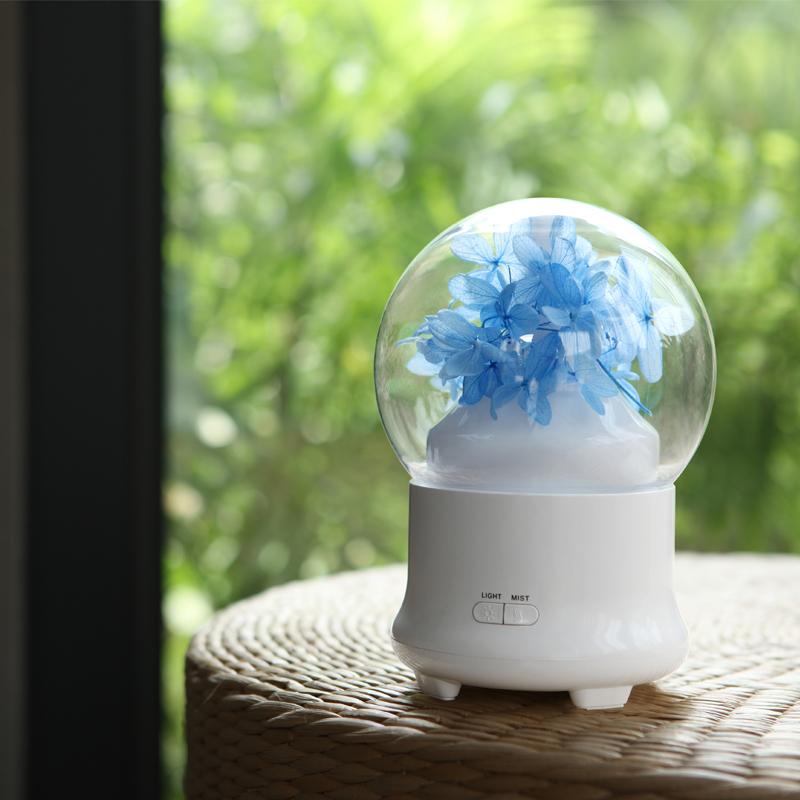 Led night decor light Bedroom kids sleeping lamp for Office gift bulb rechargeable with flower Humidifier lamp with Diffuser
