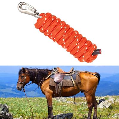Cani – Collari e guinzagli per cani