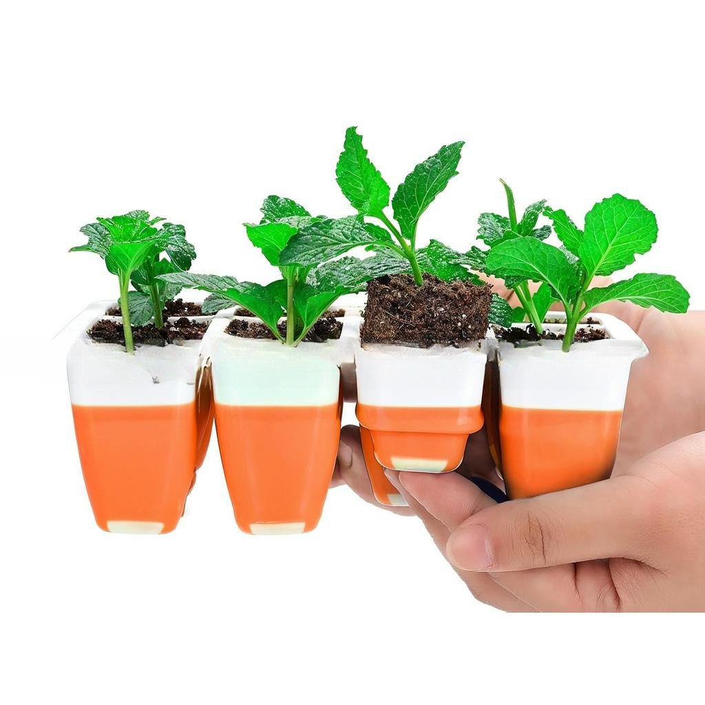 Multi-Purpose Seed Starting Tray Kit Flexible Pop-Up Unit with Drainage Holes Easy Transplant for Indoor Outdoor Garden Flower