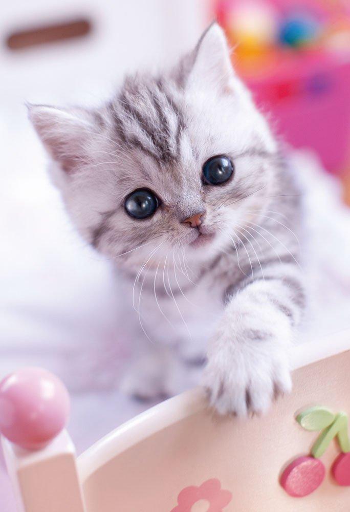 

Пазл из 300 деталей Hug x Me (26 38см)