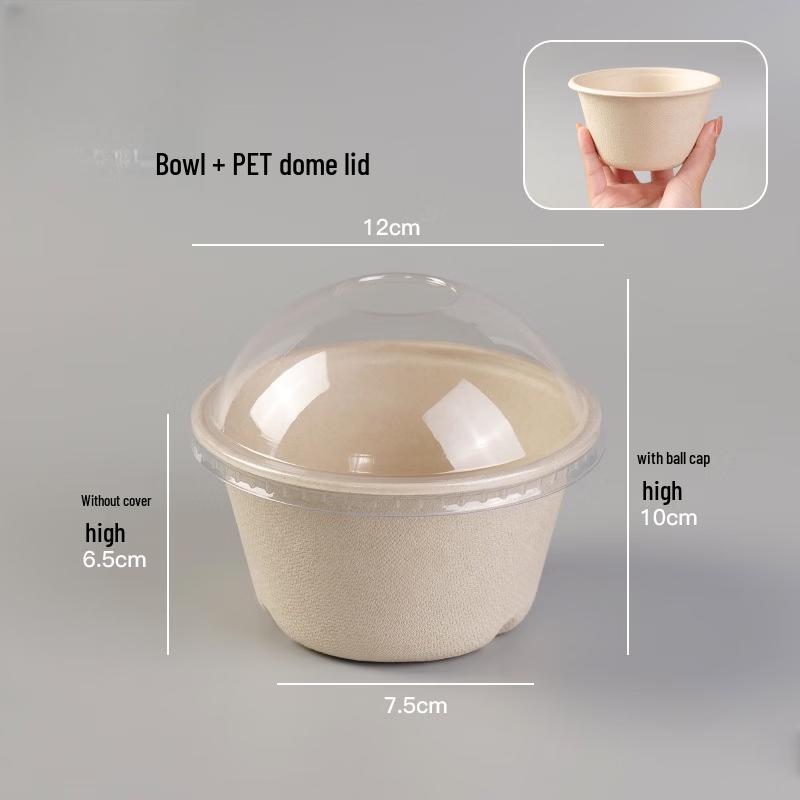 Biodegradable Disposable Bowl Set