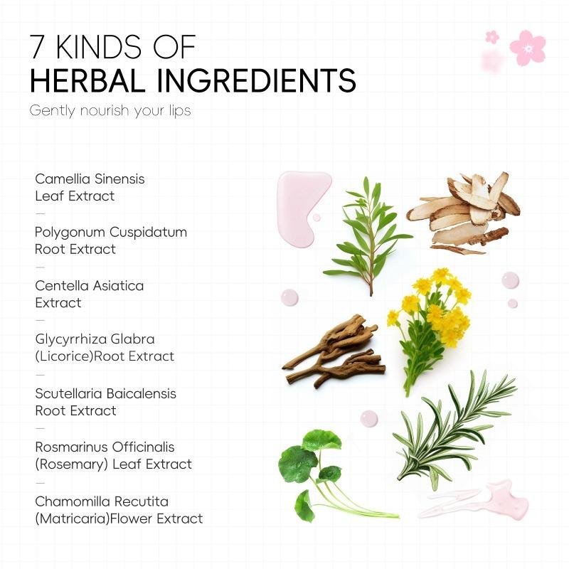 LAIKOU Japon Sakura Masque à Lèvres