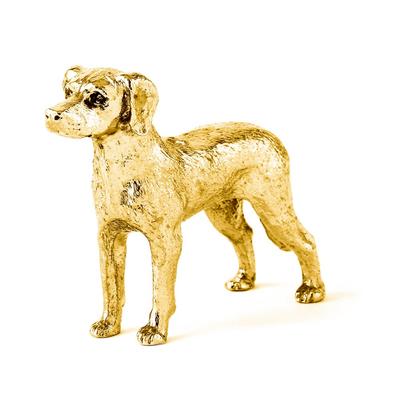 Rhodesian Ridgeback 22ct Gold Plated Made In England Art Dog Figure Collection