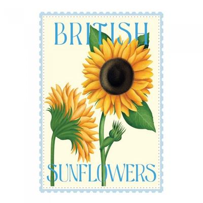 Tall Boy Prints British Sunflowers Paper Print